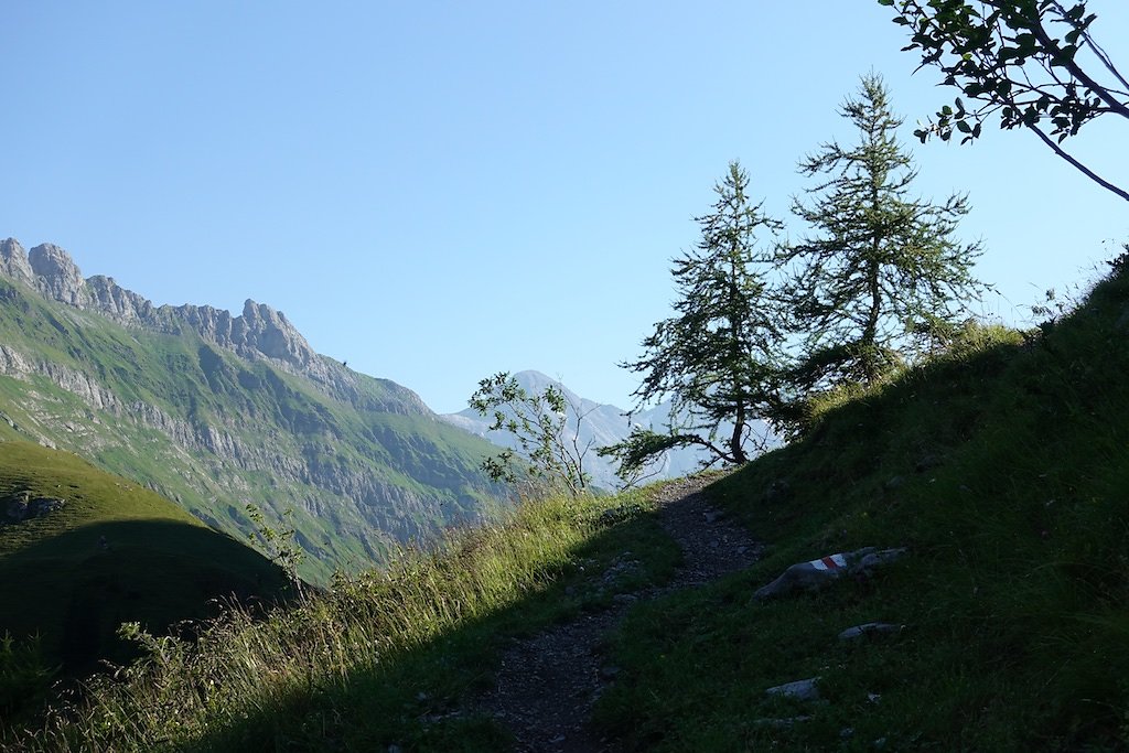 Cabane Plan Névé (26.07.2018)