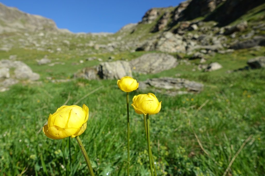 Cabanes des Aiguilles Rouges (29.07.2018)