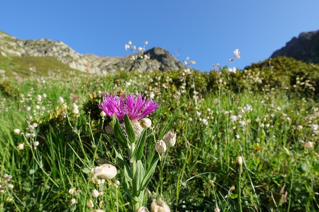 Emosson, Col de Fenestral, Emaney, Col de Barberine (16.08.2018)