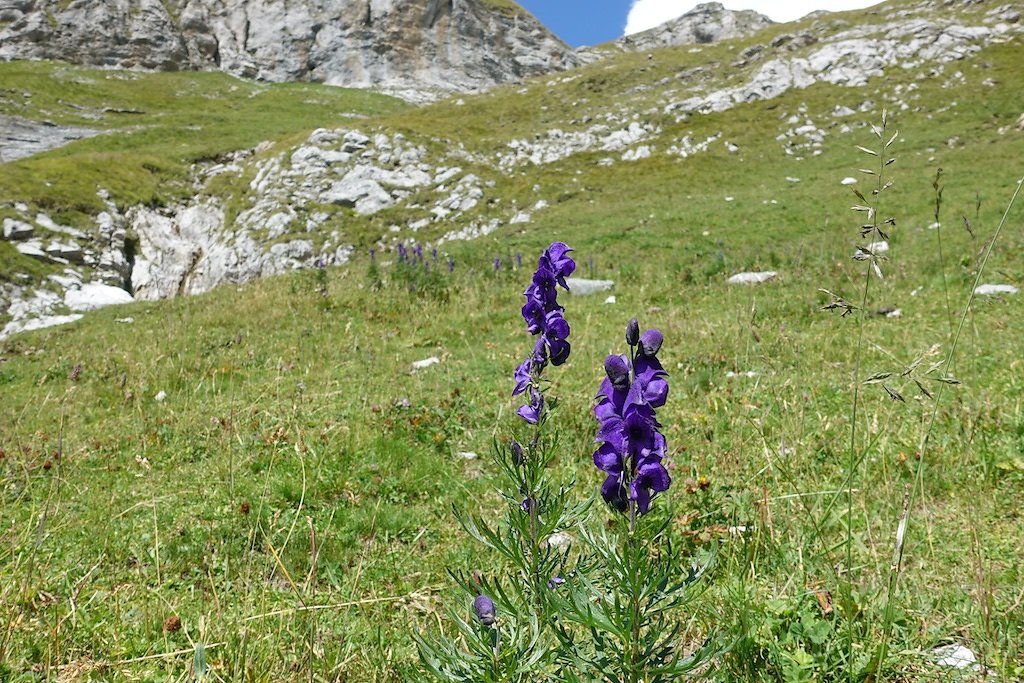 Emosson, Col de Fenestral, Emaney, Col de Barberine (16.08.2018)