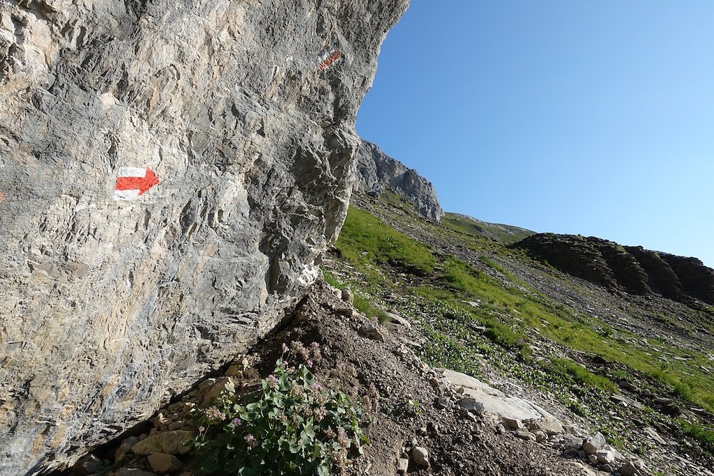 Les Rousses, Zeuzier, Lac de Ténéhé, Col des Eaux Froides, Cabane des Audannes (22.08.2018)