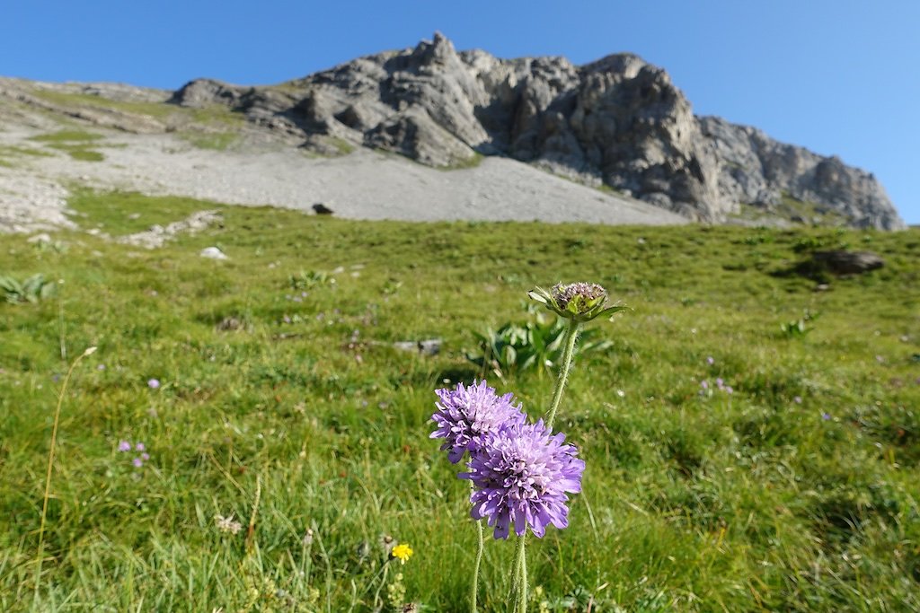 Les Rousses, Zeuzier, Lac de Ténéhé, Col des Eaux Froides, Cabane des Audannes (22.08.2018)