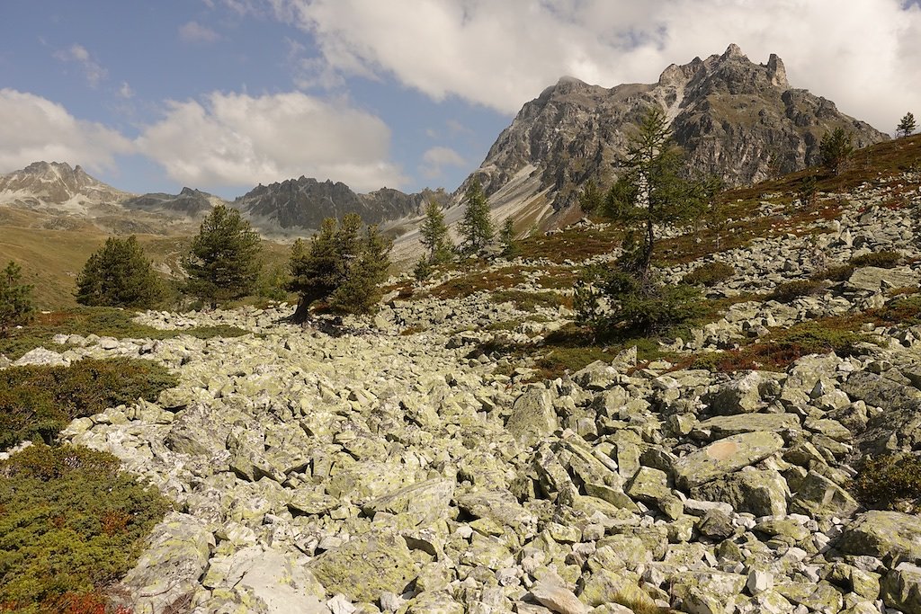 Tignousa, Lac de Toûno (30.08.2018)