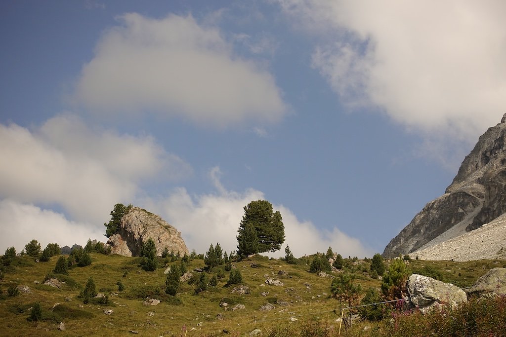 Tignousa, Lac de Toûno (30.08.2018)