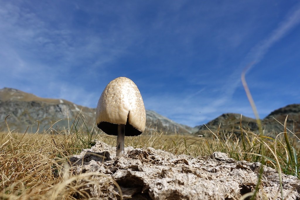 Tignousa, Cabane Bella Tola, Rothorn, Bella Tola, Pas du Boeuf (22.09.2018)