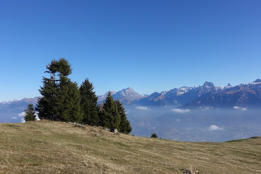 Pointe de Bellevue (18.11.2018)