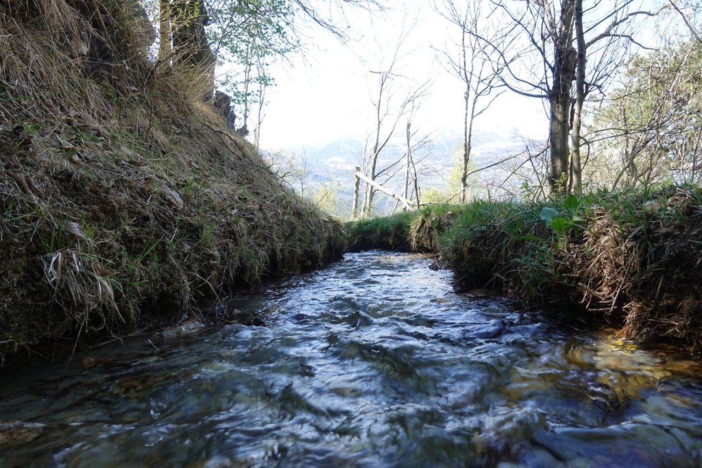 Rampe sud du Lötschberg: Hohtenn à Ausserberg (20.04.2019)