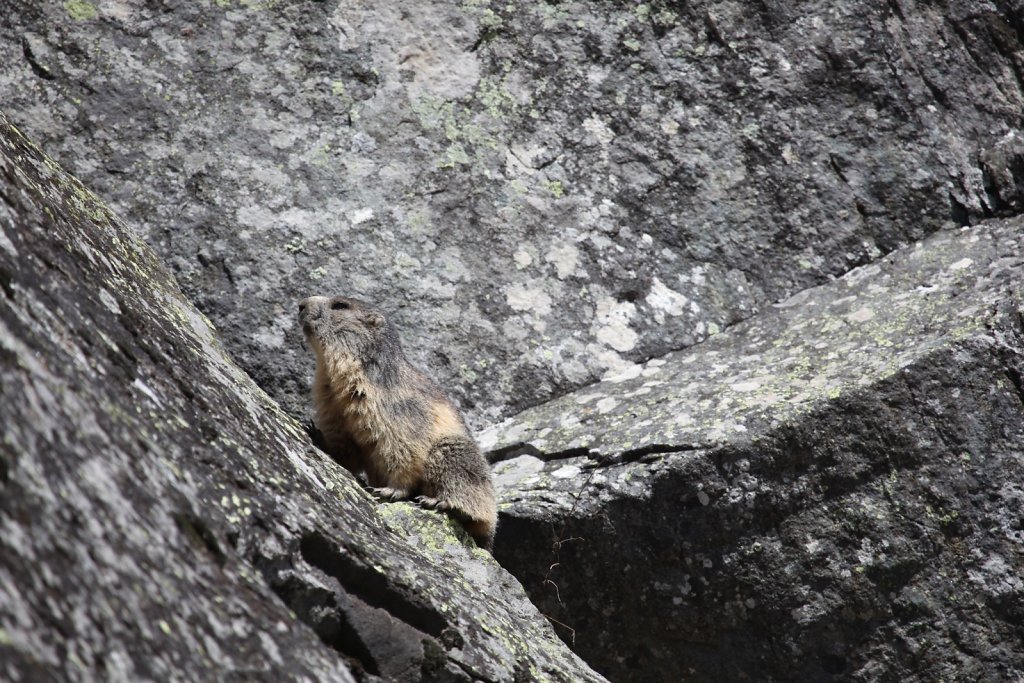 Fionnay, direction Louvie (01.05.2019)