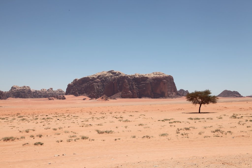 Jordanie (2019)