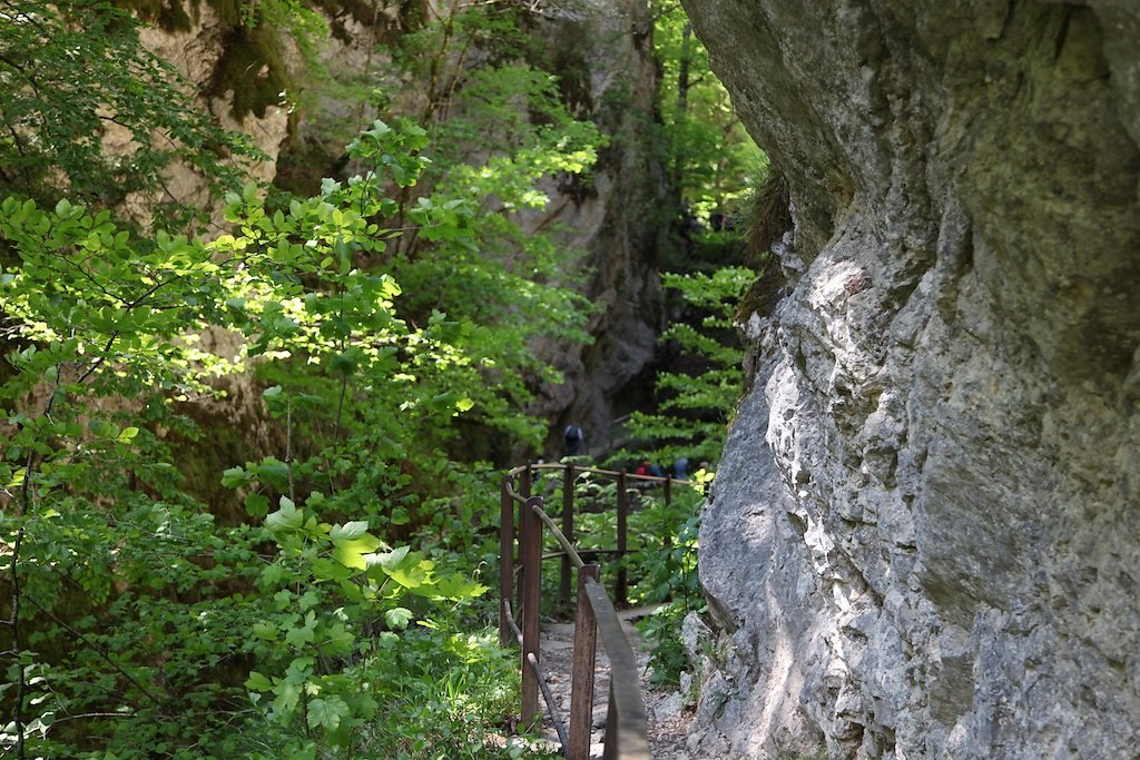 Gorges de l'Areuse (30.05.2019)