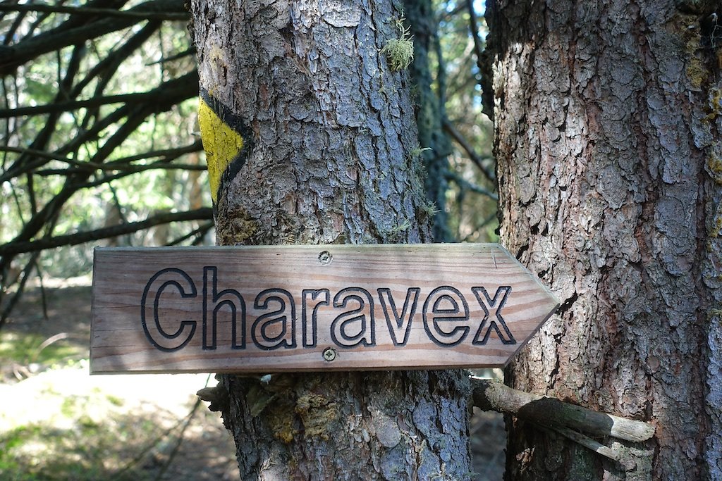 Chez Pillet, Le Cœur, Charavex, Le Revix, Mont de l'Arpille (08.06.2019)