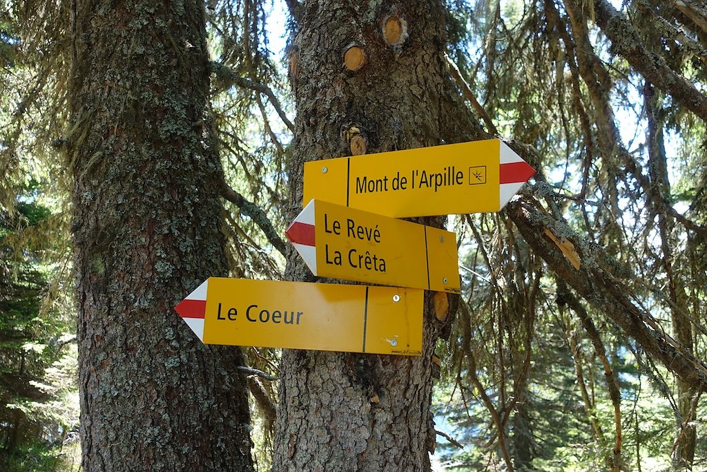 Chez Pillet, Le Cœur, Charavex, Le Revix, Mont de l'Arpille (08.06.2019)