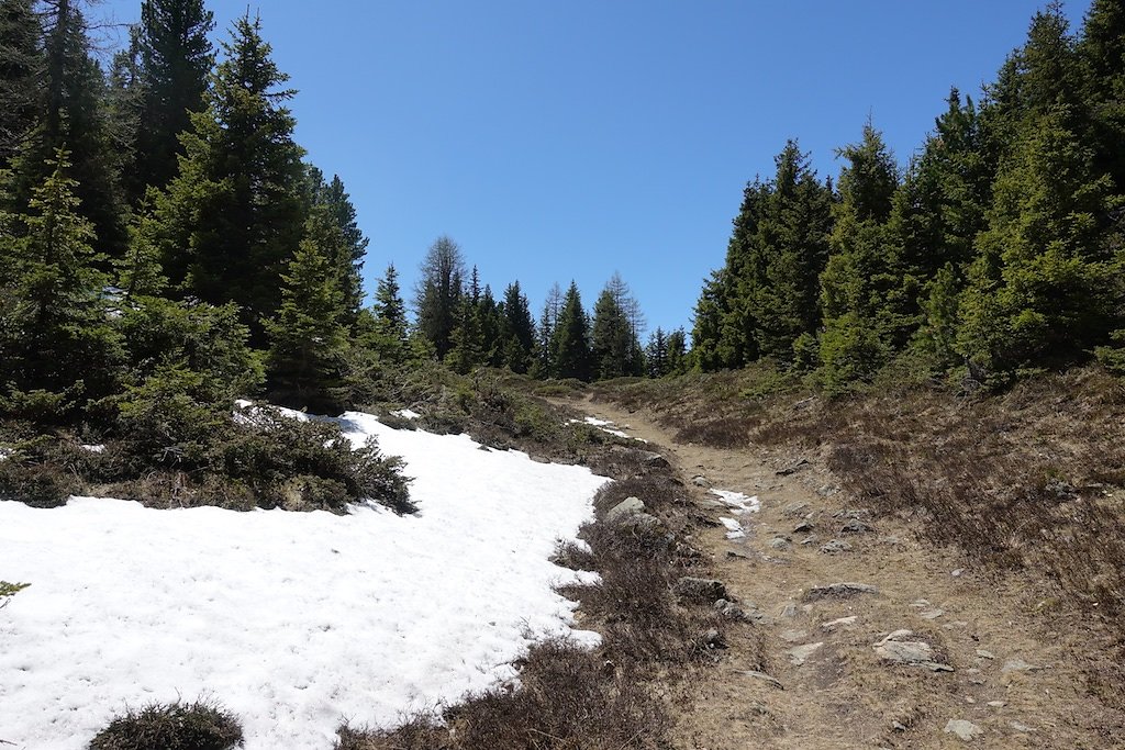 Chez Pillet, Le Cœur, Charavex, Le Revix, Mont de l'Arpille (08.06.2019)