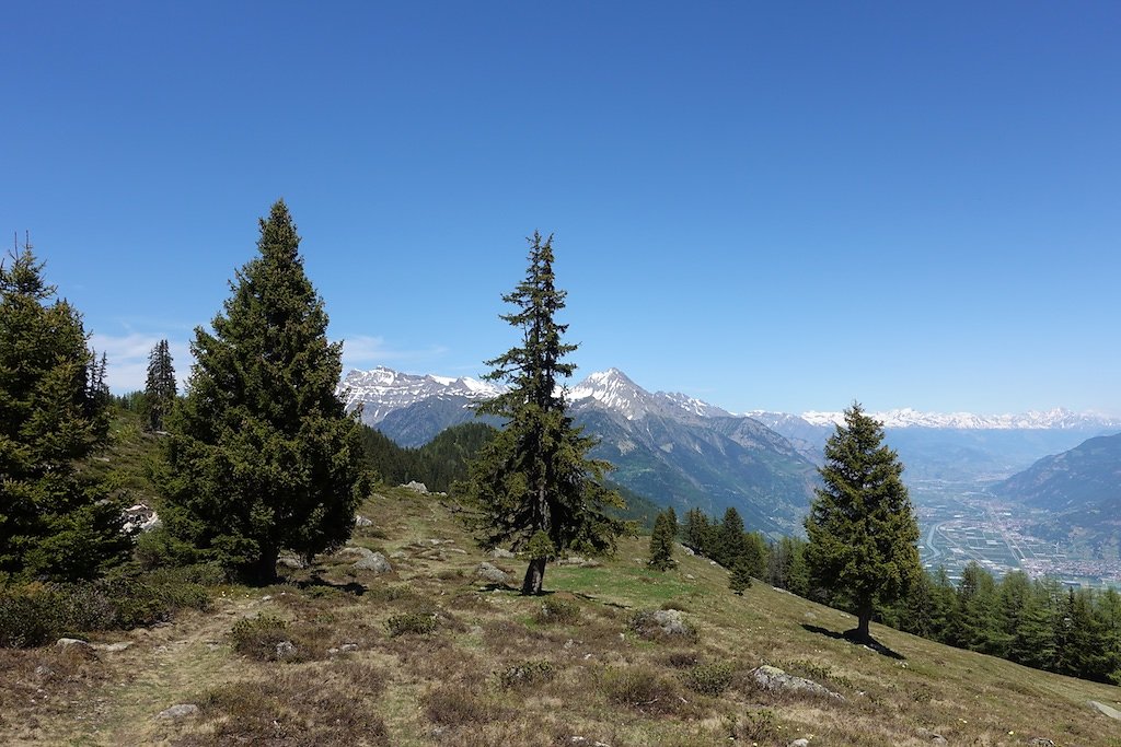 Chez Pillet, Le Cœur, Charavex, Le Revix, Mont de l'Arpille (08.06.2019)