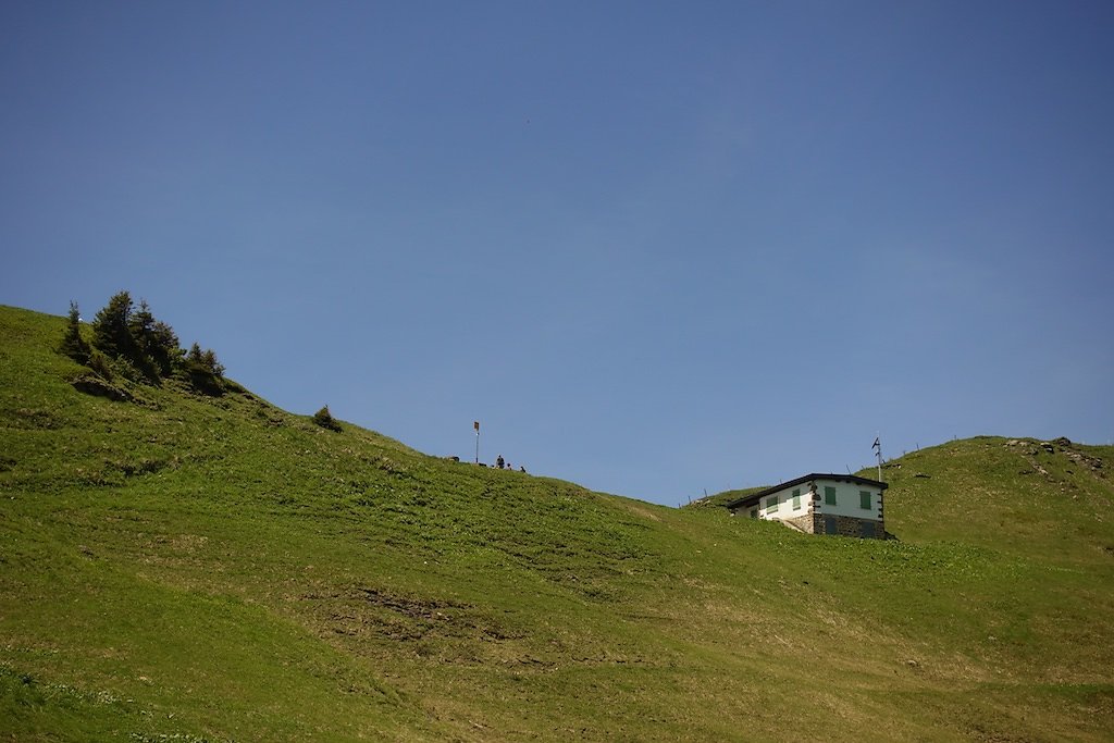 Grand-Paradis, Barme, La Berthe, Col de Cou (23.06.2019)