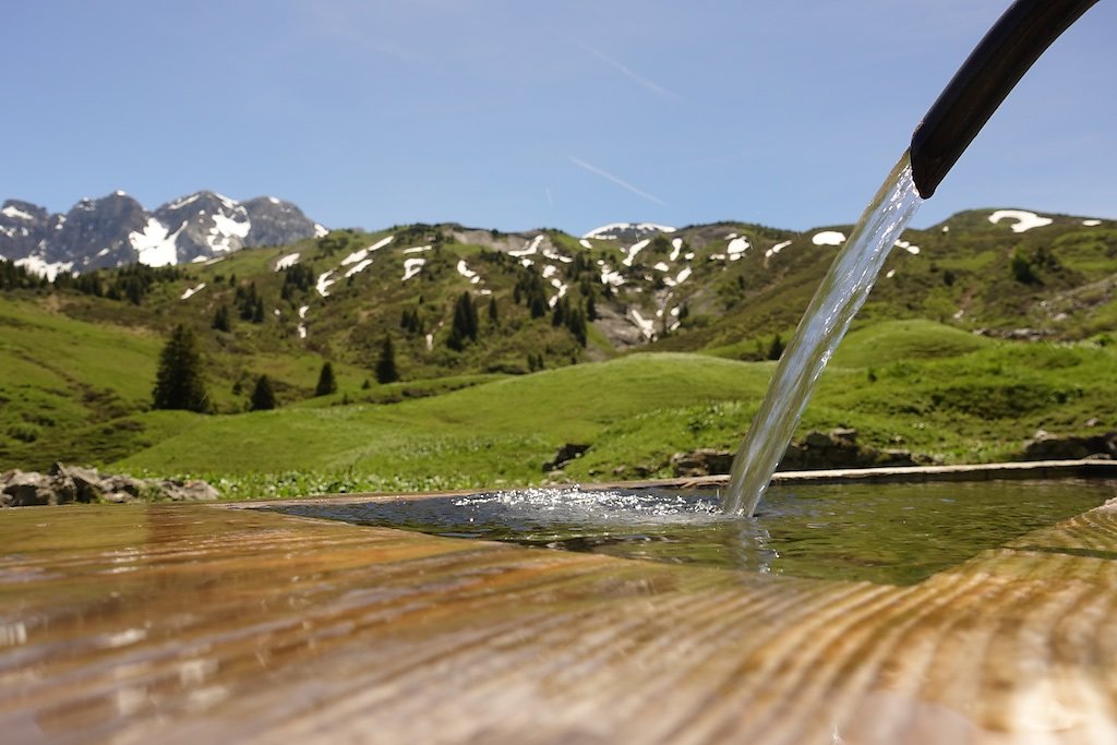 Grand-Paradis, Barme, La Berthe, Col de Cou (23.06.2019)