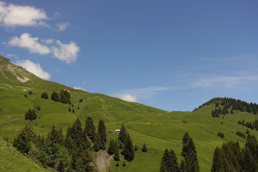 Grand-Paradis, Barme, La Berthe, Col de Cou (23.06.2019)