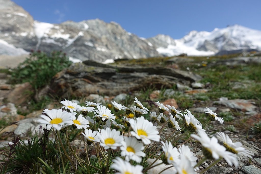 Zinal, Cabane d'Arpitettaz, Col de Milon, Zinal (01-02.08.2019)