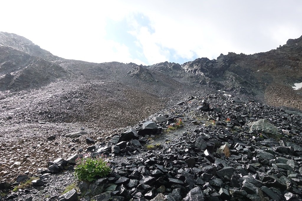 Zinal, Cabane d'Arpitettaz, Col de Milon, Zinal (01-02.08.2019)