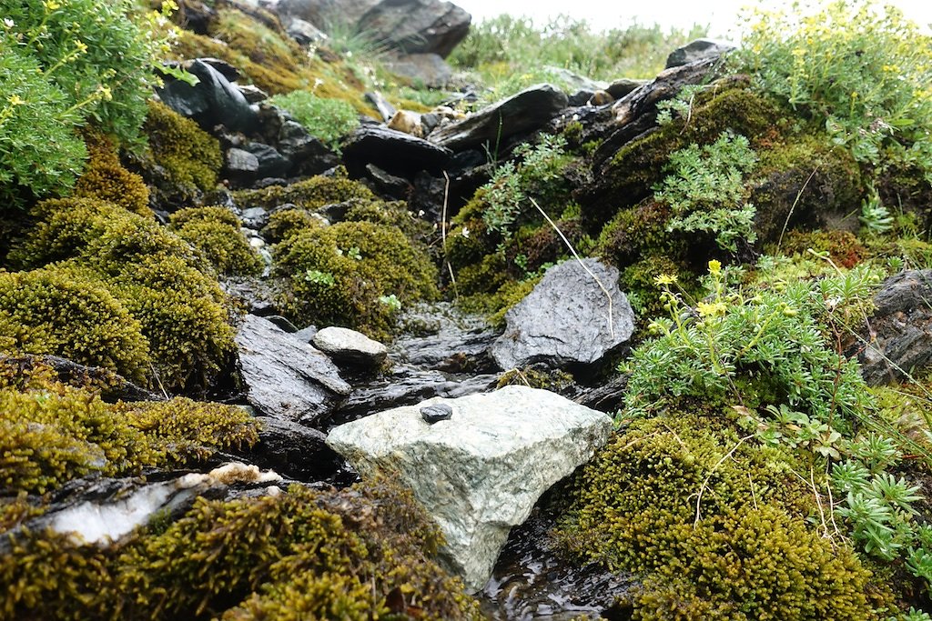 Zinal, Cabane d'Arpitettaz, Col de Milon, Zinal (01-02.08.2019)