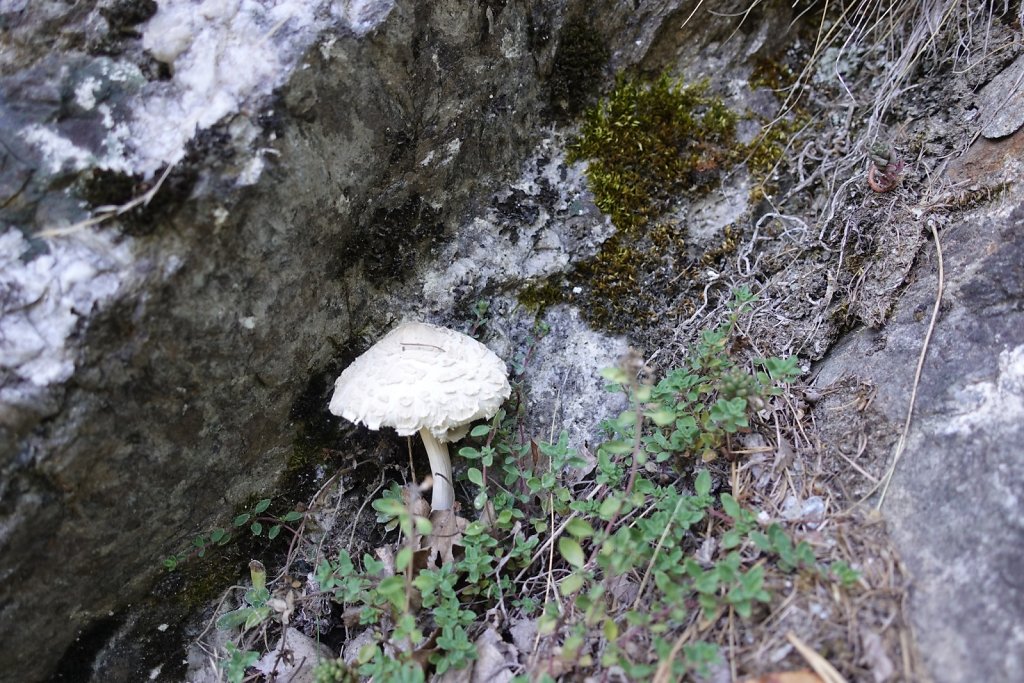 Cabane Baltschiederklause (03-04.09.2019)