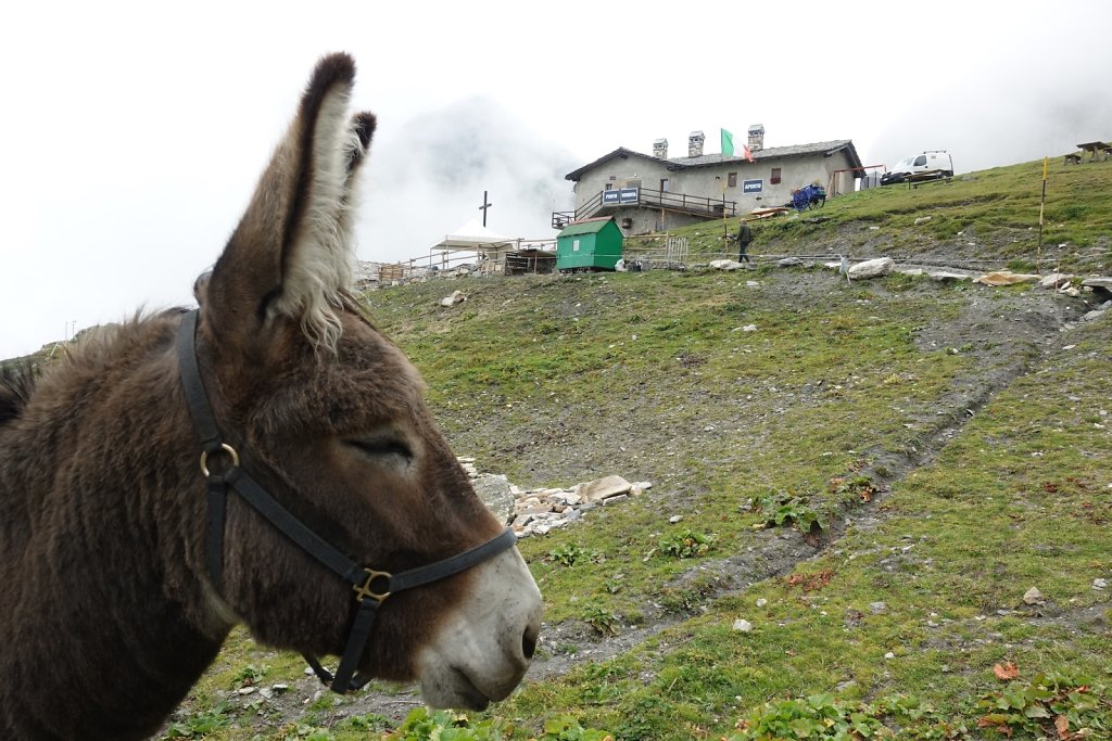 St-Bernard, Col des Chevaux, Bastillon, Lac de Fenêtre, Fenêtre de Ferret (21.09.2019)