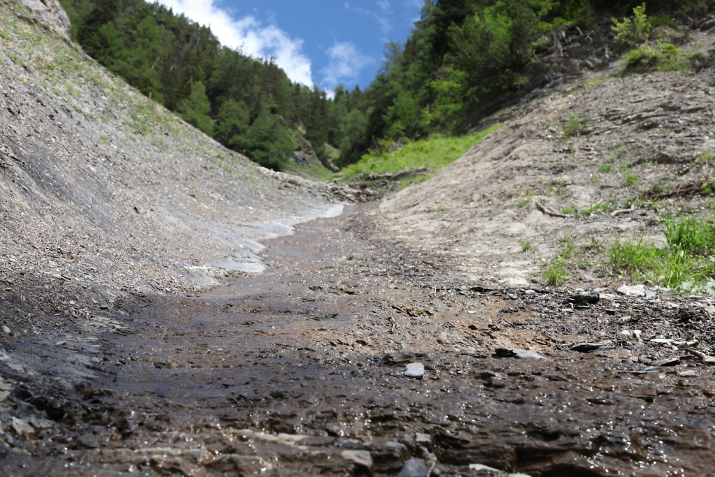 Bisse du Ro (01.07.2020)