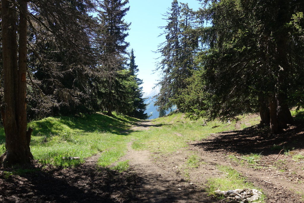 Plan Mayens, Chetzeron, Cry d'Er (12.07.2020)