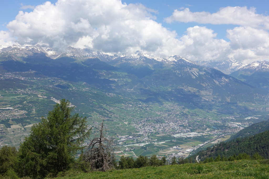Mayens de Réchy, Alpage de Bouzerou (31.05.2020)
