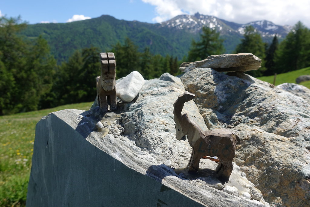 Mayens de Réchy, Alpage de Bouzerou (31.05.2020)