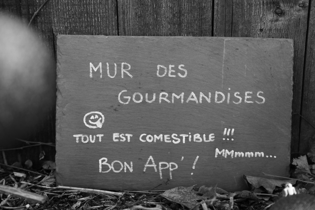 Montorge (03.01.2020)