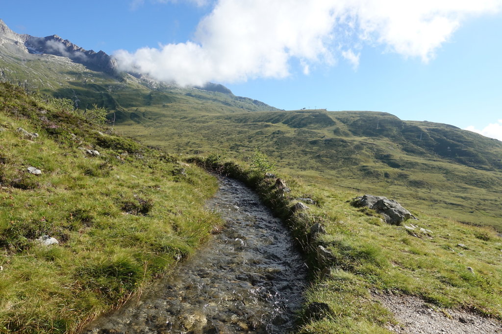 Belalp, Foggenhorn (15.08.2020)