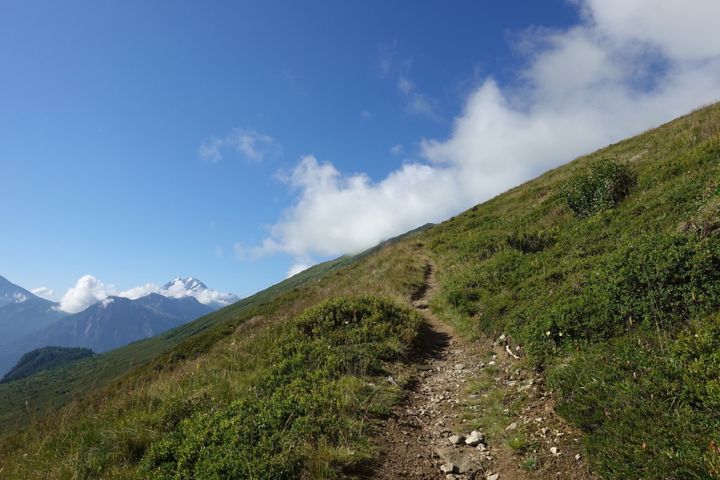 Belalp, Foggenhorn (15.08.2020)