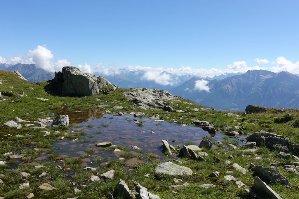 Belalp, Foggenhorn (15.08.2020)