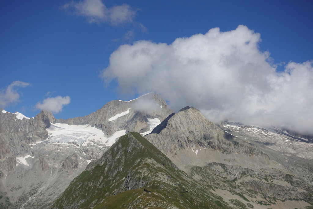 Belalp, Foggenhorn (15.08.2020)