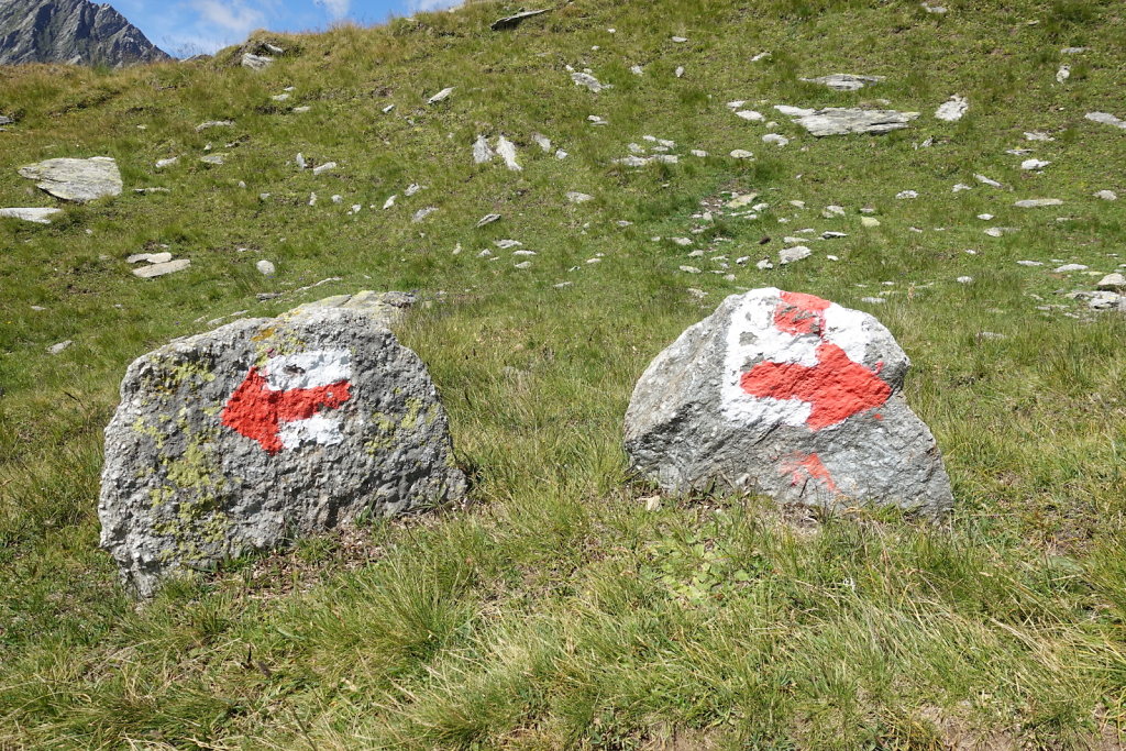 Belalp, Foggenhorn (15.08.2020)