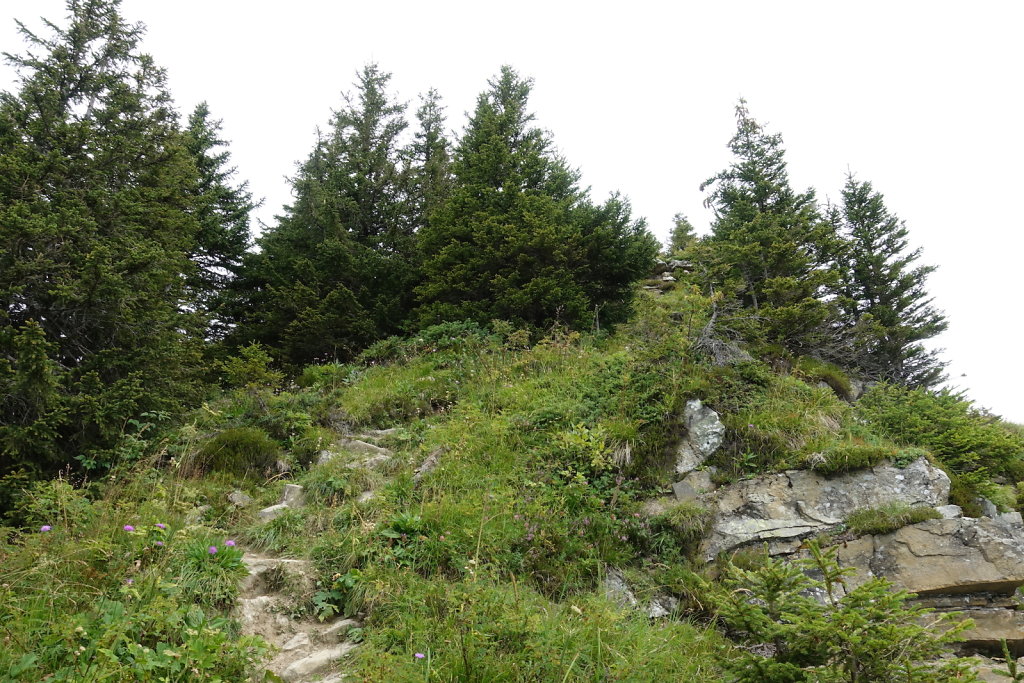 Lac Retaud, La Palette (25.08.2020)