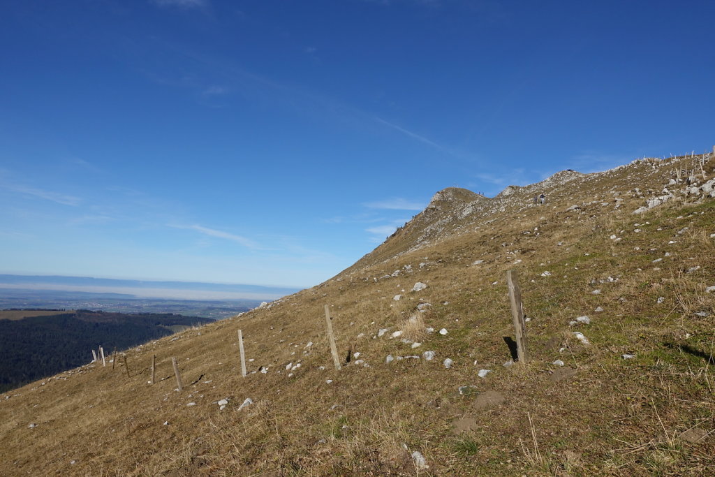 Le Moléson (14.11.2020)