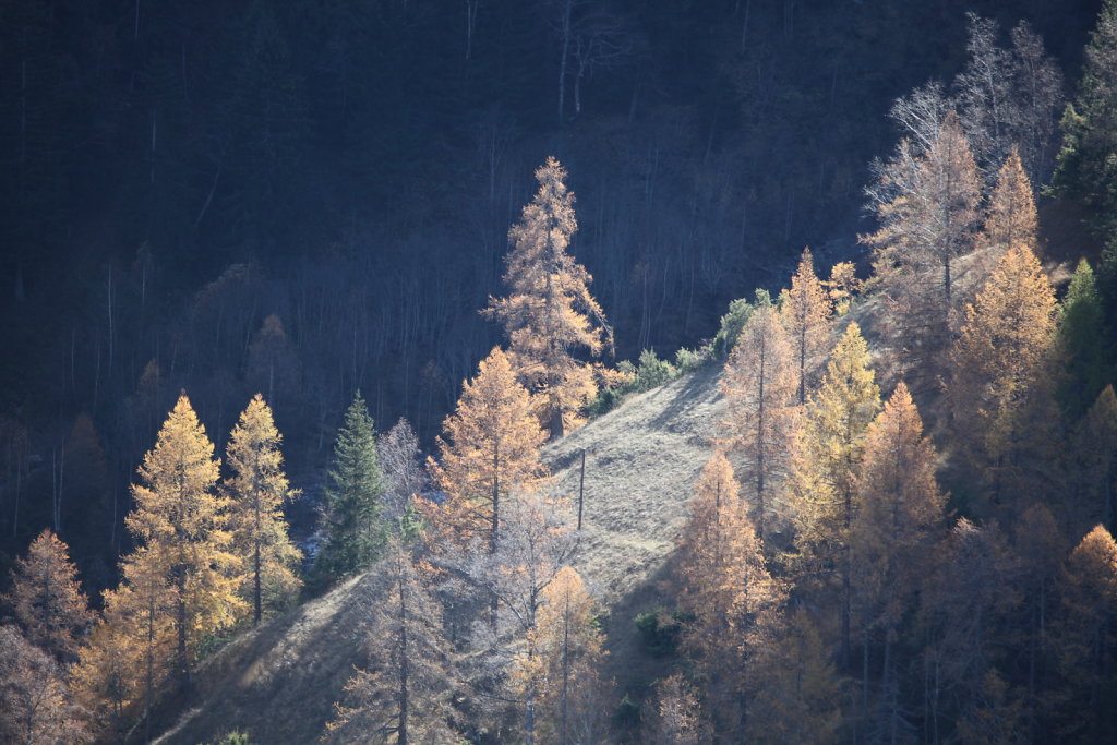 Tessin (2020)