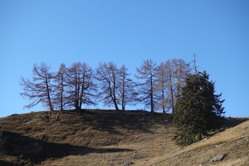 Mayens de My, Etang des Trente Pas, Croix de l'Achia (27.11.2020)