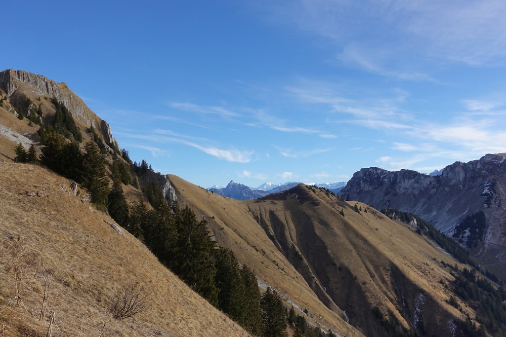 Sonchaux - Rochers de Naye (29.11.2020)