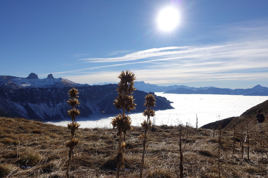 Sonchaux - Rochers de Naye (29.11.2020)