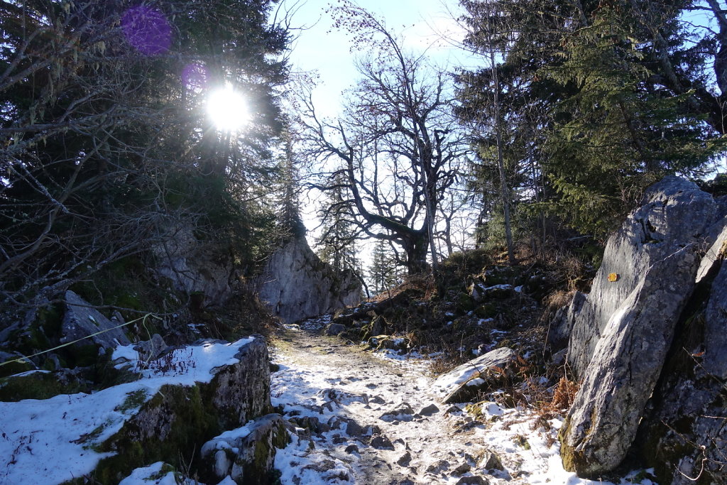 Sonchaux - Rochers de Naye (29.11.2020)