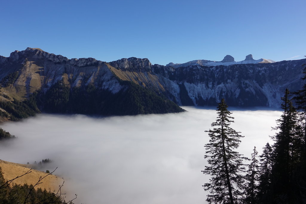 Sonchaux - Rochers de Naye (29.11.2020)