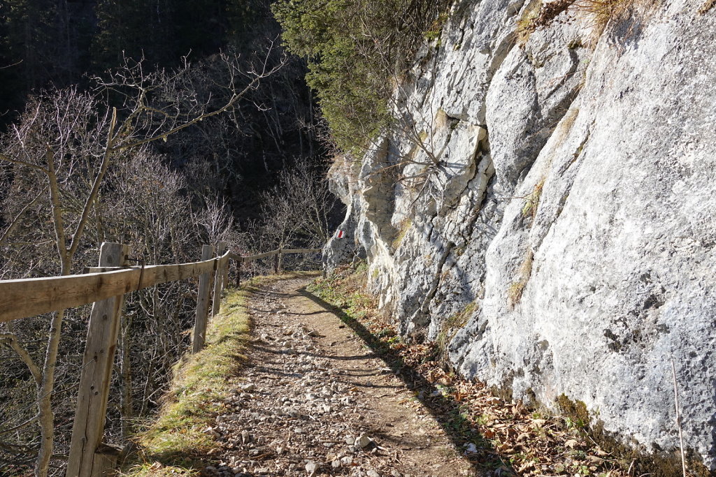 Sonchaux - Rochers de Naye (29.11.2020)