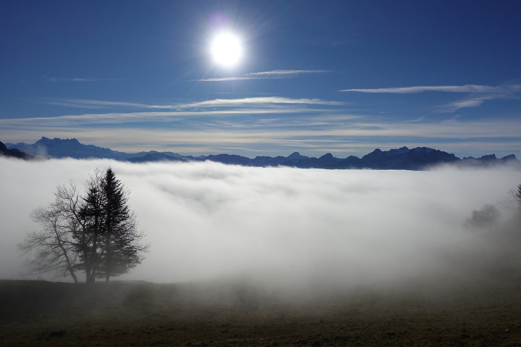 Sonchaux - Rochers de Naye (29.11.2020)