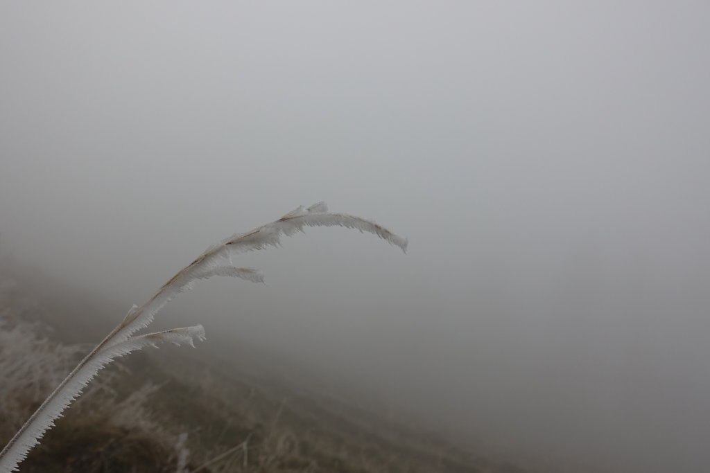 Sonchaux - Rochers de Naye (29.11.2020)