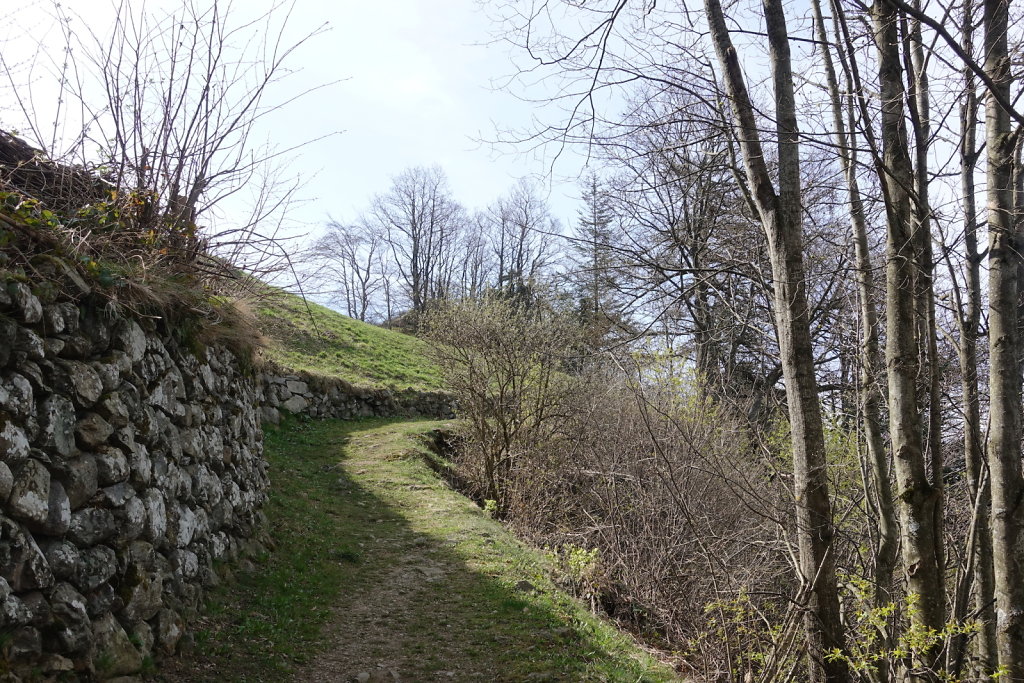 Dorénaz - Champex d'Allesse - La Giette (05.04.2021)