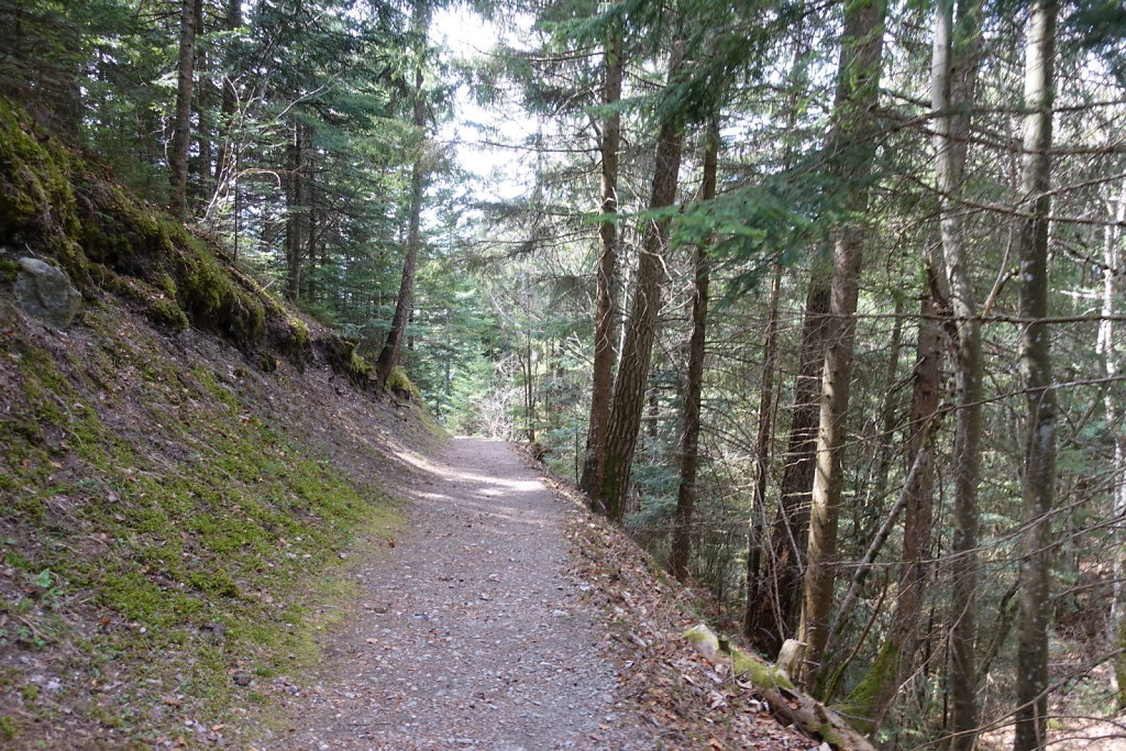 Dorénaz - Champex d'Allesse - La Giette (05.04.2021)