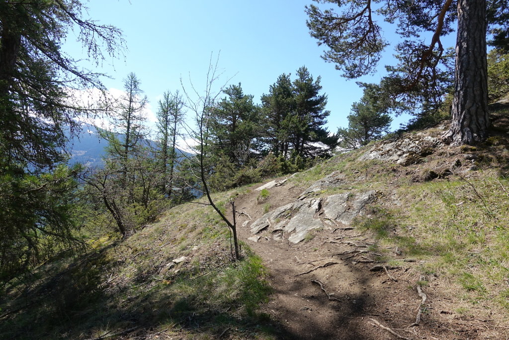 Les Planisses, Bisse du Sillonin, Icogne, Lens, Christ-Roi, Grand Bisse de Lens, Chelin, Bisse du Sillonin (03.05.2021)